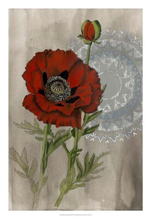 Framed Bohemian Botanical III Print