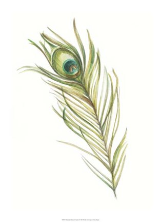 Framed Watercolor Peacock Feather I Print