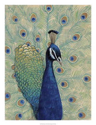 Framed Blue Peacock I Print