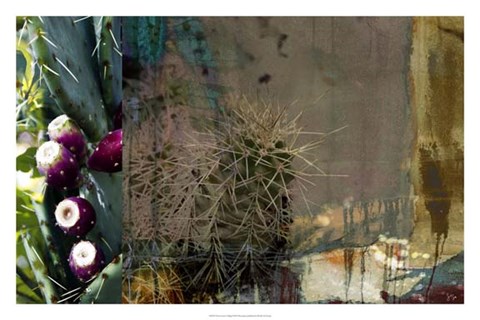 Framed Texas Cactus Collage Print