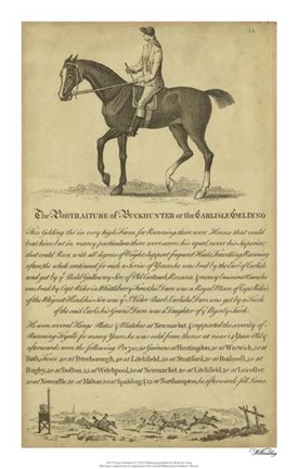 Framed Horse Portraiture IV Print