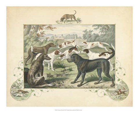 Framed Group of Hounds Print