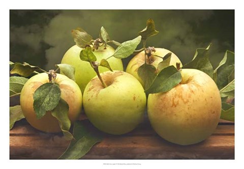 Framed Jill&#39;s Green Apples I Print