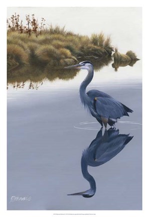 Framed Blackwater Reflections II Print