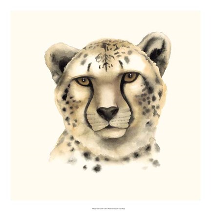 Framed Safari Cat IV Print