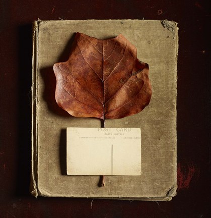 Framed Postcard Print