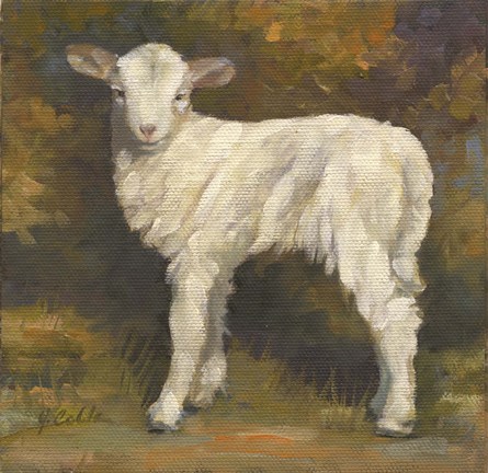 Framed Snow Drop Print