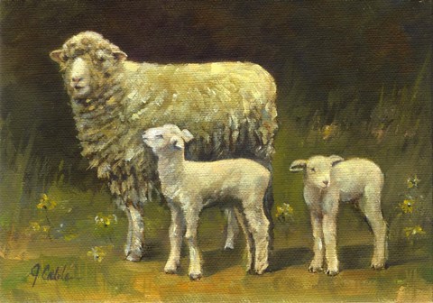 Framed Dolly&#39;s Twins Print