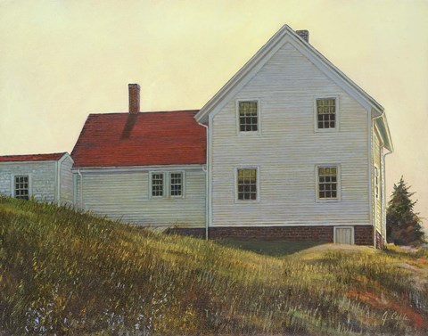 Framed Island Summit Print