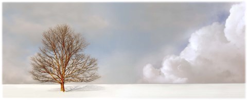 Framed Alone in the Whiteness Print