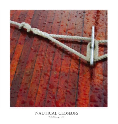 Framed Nautical Closeups 22 Print
