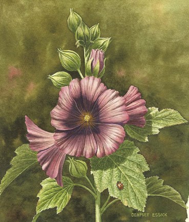 Framed Lady Bug on Hollyhocks Print