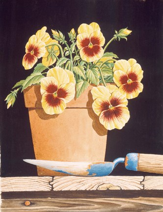 Framed Potted Pansies Print