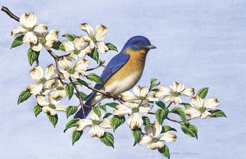 Framed Carolina Blue Print