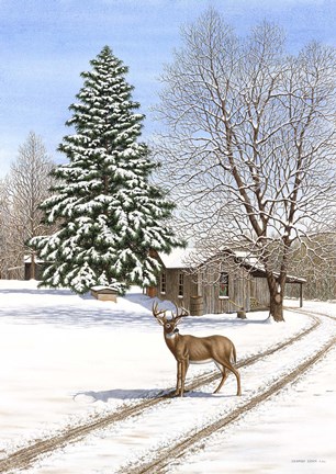 Framed Old Place Print