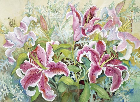 Framed Stargazer Lilies Print