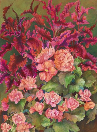Framed Coleus and Begonias Print