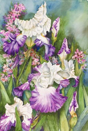 Framed Iris Garden Print