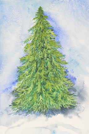 Framed Evergreen Tree Print