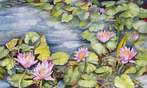 Framed Lily Pond Print
