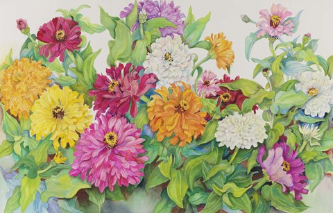 Framed Festive Zinnias Print