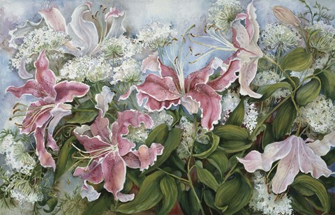 Framed Pink Star Gazer Lilies Print
