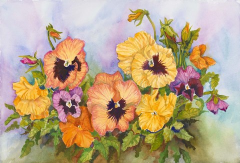Framed Pansies in a Blue Sky Print