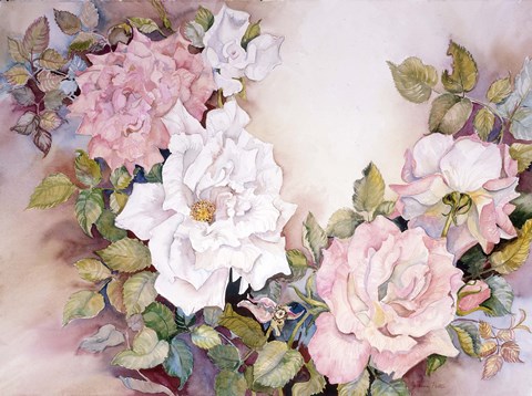 Framed Last Rose Of Summer Print