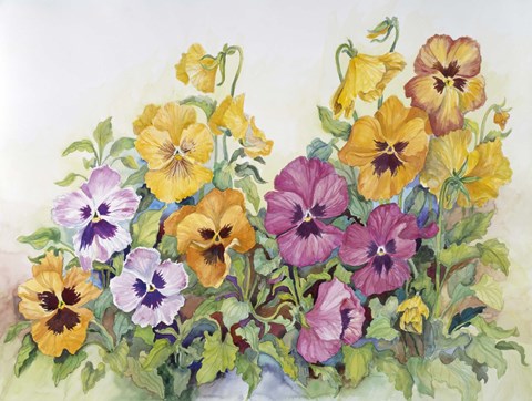 Framed Amber Pansies Print
