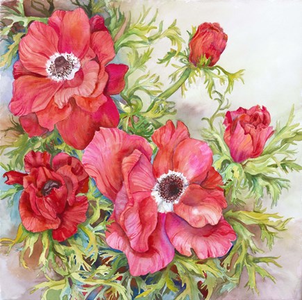 Framed Red Anemones Print