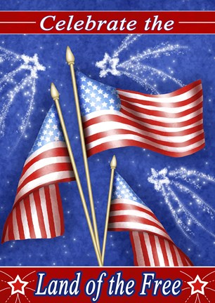 Framed Celebrate Freedom Print