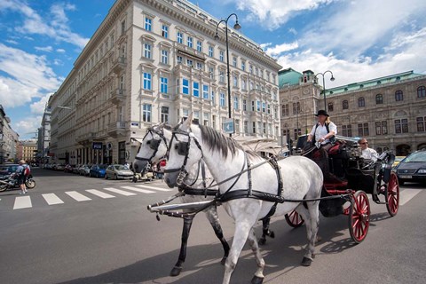 Framed Horse Drawn Carriage in Vienna Print