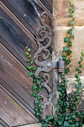 Framed Rose Garden in Bamberg, Germany Print