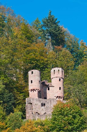 Framed Schwalbennest, Germany Print