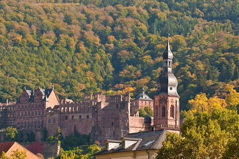 Framed Heidelberg&#39;s Old Town, Germany Print