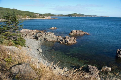 Framed Twillingate Coastline Print