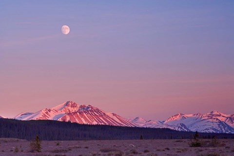Framed Alsek River Valley mountains Print