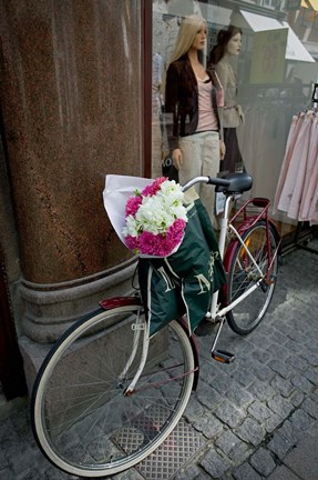 Framed Bicycle Parked in Copenhagen, Denmark Print