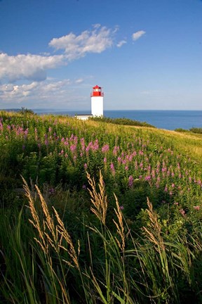 Framed Lighthouse at St Martins Print