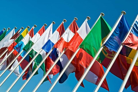 Framed International Flags Print