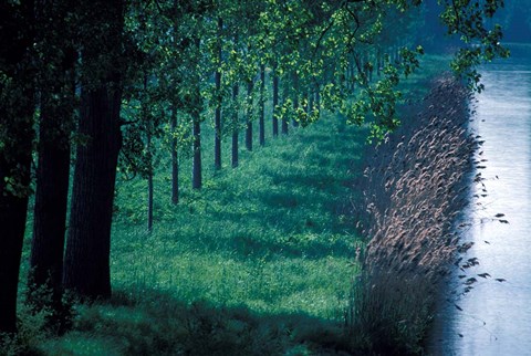 Framed Burgundy Canal, Burgundy, France Print