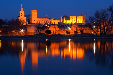 Framed Pope&#39;s Palace in Avignon and the Rhone River Print