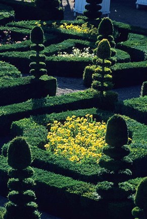 Framed Garden at Villandry Chateau in France Print