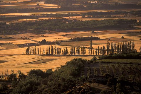 Framed Gordes Countryside, Vaucluse, France Print