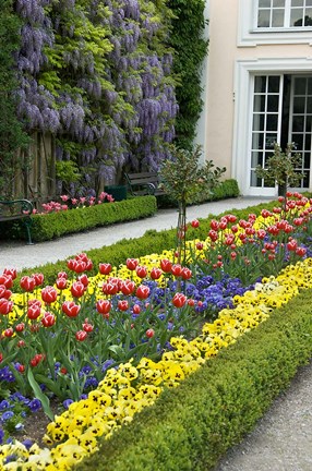 Framed Mirabell Garden Print