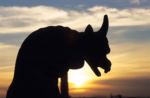 Framed Chimera of Notre Dame Cathedral at Sunset Print