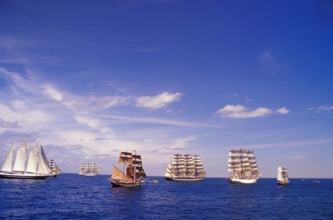 Framed Tall Ships Race in Nova Scotia Print
