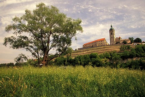 Framed Renaissance Chateau in Melnik Print