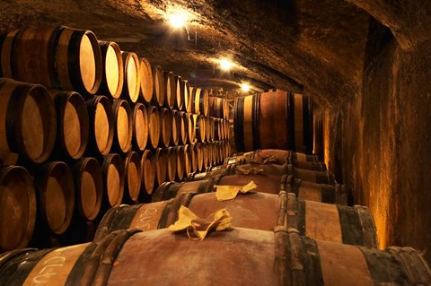 Framed Wooden Barrels with Aging Wine in Cellar Print