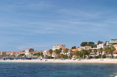 Framed Beach with Palm Trees Along Coast in Bandol, France Print